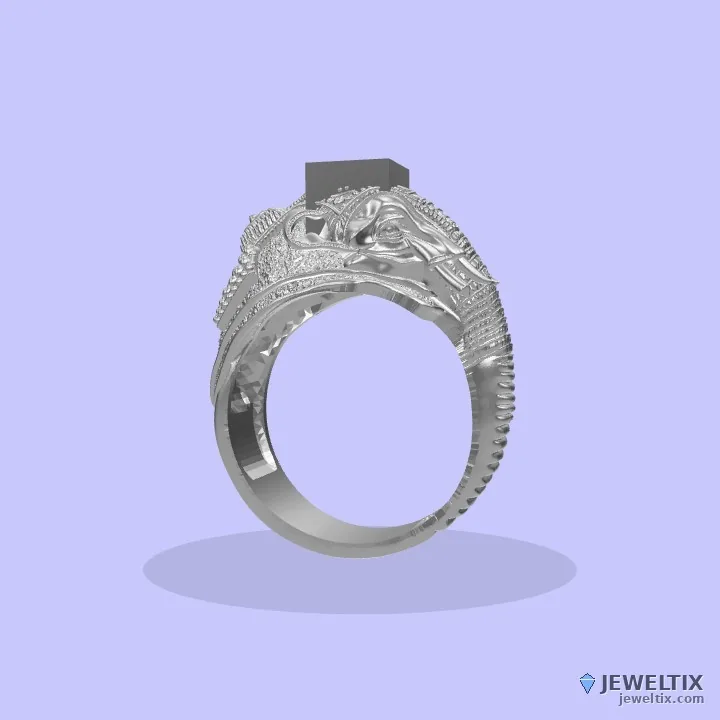 elephant ring — angle 1